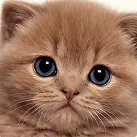 BKH of Irinas Pride Logo